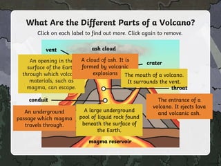 What Are the Different Parts of a Volcano?
Click on each label to find out more. Click again to remove.
An opening in the
surface of the Earth
through which volcanic
materials, such as
magma, can escape.
A cloud of ash. It is
formed by volcanic
explosions
vent ash cloud
The mouth of a volcano.
It surrounds the vent.
crater
throat
The entrance of a
volcano. It ejects lava
and volcanic ash.
conduit
An underground
passage which magma
travels through.
A large underground
pool of liquid rock found
beneath the surface of
the Earth.
magma reservoir
 