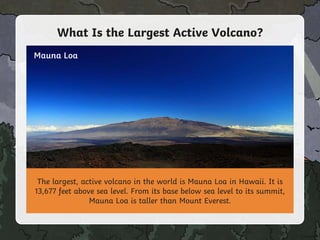 What Is the Largest Active Volcano?
The largest, active volcano in the world is Mauna Loa in Hawaii. It is
13,677 feet above sea level. From its base below sea level to its summit,
Mauna Loa is taller than Mount Everest.
Mauna Loa
 