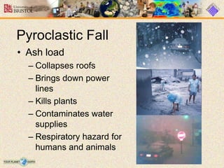 Pyroclastic Fall
• Ash load
– Collapses roofs
– Brings down power
lines
– Kills plants
– Contaminates water
supplies
– Respiratory hazard for
humans and animals
 