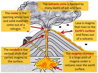 The volcanic cone is formed by
many layers of ash and lava.
Lava is magma
that rises to the
Earth’s surface
and flows out
of a volcano.
The crater is the
opening where lava
and solid materials
come out of a
volcano.
The conduit is the
vertical shaft that
carries magma to
the surface.
The magma chamber
is a large pool of
magma under a
volcano near the earth
surface.
 