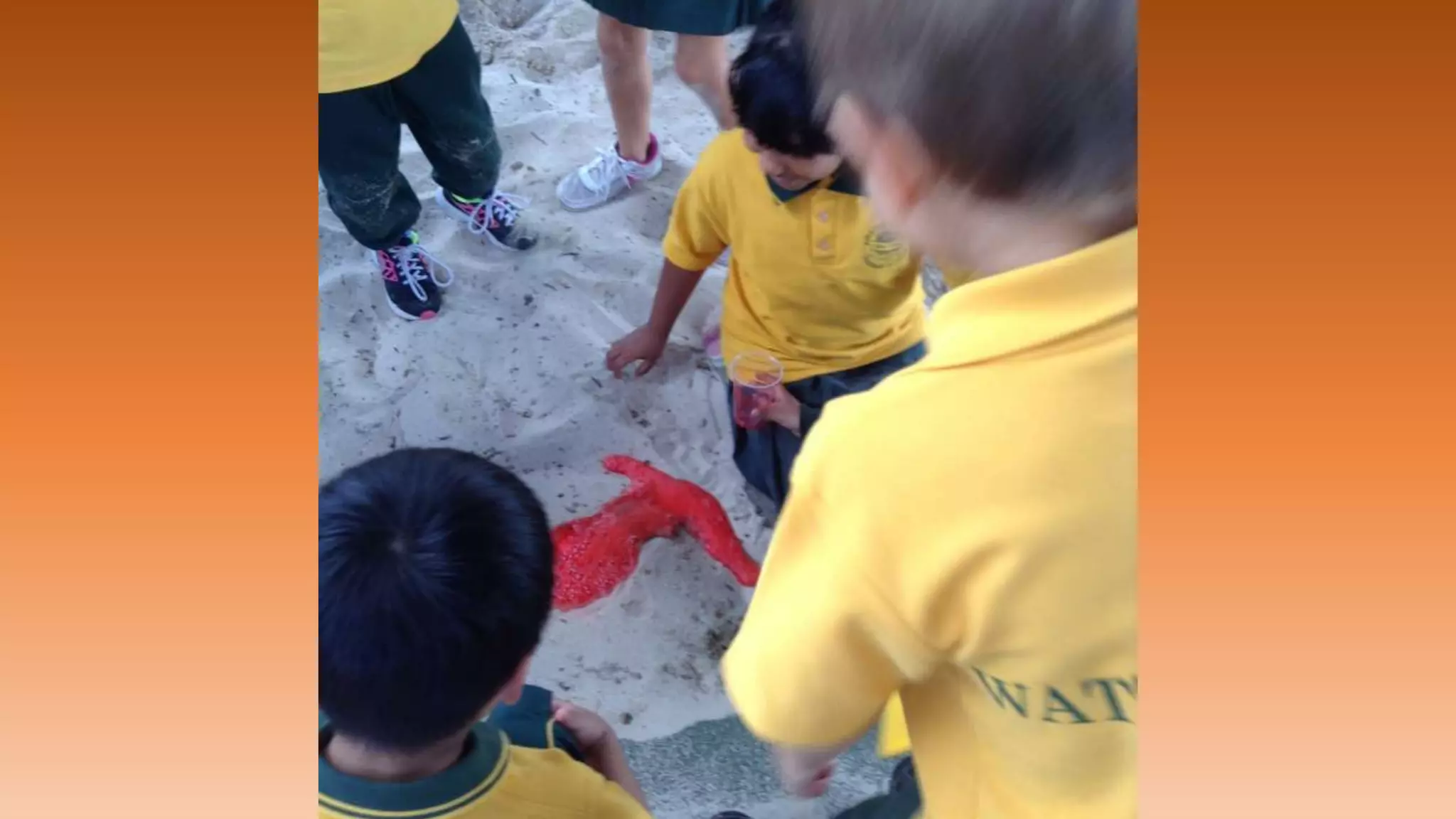Volcano experiment with our kindy buddies