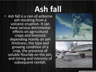 Ash fall
• Ash fall is a rain of airborne
ash resulting from a
volcanic eruption. It can
have serious detrimental
effects on agricultural
crops and livestock
depending mainly on ash
thickness, the type and
growing condition of a
crop, the presence of
soluble flouride on the ash,
and timing and intensity of
subsequent rainfall.
 