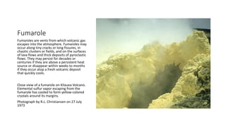 Fumarole
Fumaroles are vents from which volcanic gas
escapes into the atmosphere. Fumaroles may
occur along tiny cracks or long fissures, in
chaotic clusters or fields, and on the surfaces
of lava flows and thick deposits of pyroclastic
flows. They may persist for decades or
centuries if they are above a persistent heat
source or disappear within weeks to months
if they occur atop a fresh volcanic deposit
that quickly cools.
Close view of a fumarole on Kilauea Volcano.
Elemental sulfur vapor escaping from the
fumarole has cooled to form yellow-colored
crystals around its margins.
Photograph by R.L. Christiansen on 27 July
1973
 
