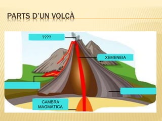 PARTS D’UN VOLCÀ
XEMENEIA
????
CAMBRA
MAGMÀTICA
 