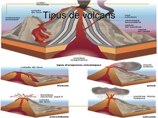 Tipus de volcans
 