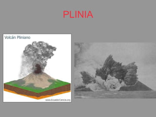 PLINIA 
