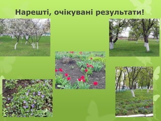 Нарешті, очікувані результати!
 