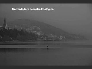 Un verdadero desastre Ecológico