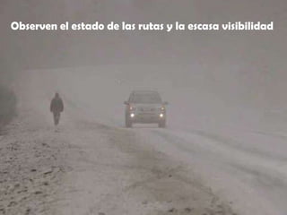 Observen el estado de las rutas y la escasa visibilidad