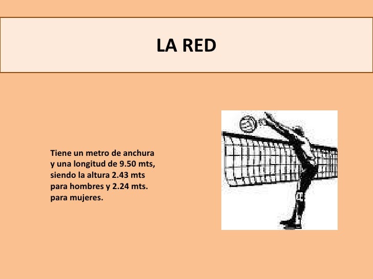 Voleibol Voleibol