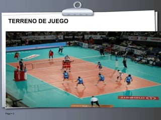 TERRENO DE JUEGO