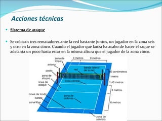 Acciones técnicas <ul><li>Sistema de ataque </li></ul><ul><li>Se colocan tres rematadores ante la red bastante juntos, un ...