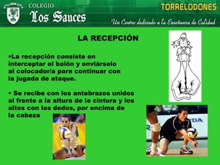 LA RECEPCIÓN
•La recepción consiste en
interceptar el balón y enviárselo
al colocador/a para continuar con
la jugada de ataque.
• Se recibe con los antebrazos unidos
al frente a la altura de la cintura y los
altos con los dedos, por encima de
la cabeza
 