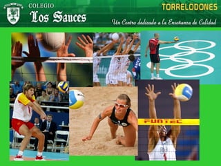 Voleibol