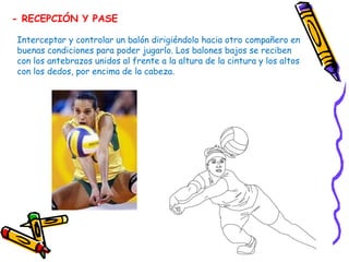 - RECEPCIÓN Y PASE

Interceptar y controlar un balón dirigiéndolo hacia otro compañero en
buenas condiciones para poder jugarlo. Los balones bajos se reciben
con los antebrazos unidos al frente a la altura de la cintura y los altos
con los dedos, por encima de la cabeza.
 