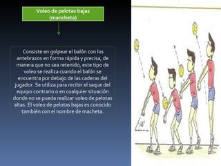 Voleo de pelotas bajas (mancheta) Consiste en golpear el balón con los antebrazos en forma rápida y precisa, de manera que no sea retenido, este tipo de voleo se realiza cuando el balón se encuentra por debajo de las caderas del jugador. Se utiliza para recibir el saque del equipo contrario o en cualquier situación donde no se pueda realizar voleo de pelotas altas. El voleo de pelotas bajas es conocido también con el nombre de macheta. 