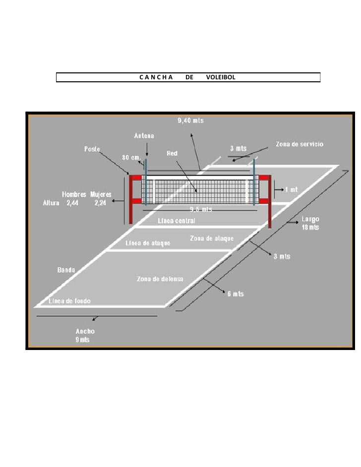 Cancha De Voleibol Con Sus Medidas Reglamentarias Para