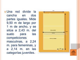  Una  red divide la
 cancha     en     dos
 partes iguales. Mide
 9,50 m de largo por
 1 m de ancho, y se
 sitúa a 2,43 m. del
 suelo    para      las
 competiciones
 masculinas, a 2,24
 m. para femeninas, y
 a 2,14 m. en las
 categorías juveniles.
 