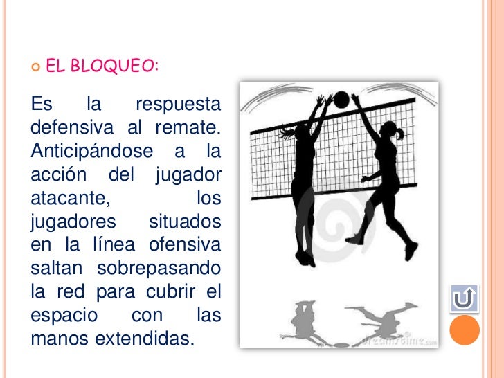Voleibol Voleibol