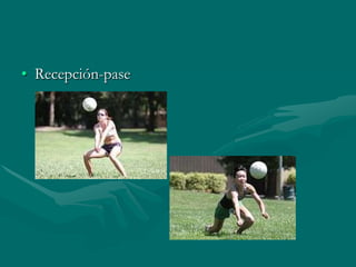 • Recepción-pase
 