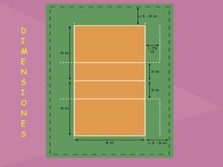 D
I
M
E
N
S
I
O
N
E
S
 