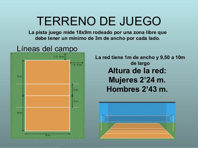 Voleibol
