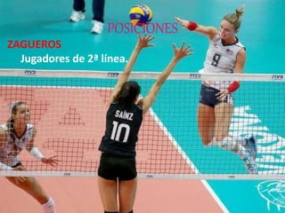 POSICIONES
ZAGUEROS
Jugadores de 2ª línea.
 