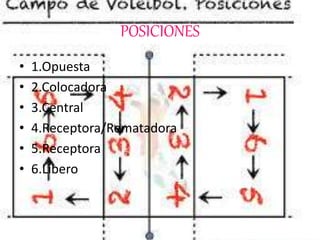POSICIONES
• 1.Opuesta
• 2.Colocadora
• 3.Central
• 4.Receptora/Rematadora
• 5.Receptora
• 6.Líbero
 