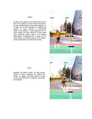 Golpeo
El brazo que golpea se encuentra flexionado al
lado de la cabeza (el codo señala hacia arriba),
el otro semiflexionado se encuentra delante y a
la altura de la cara (mantiene el equilibrio del
cuerpo). El brazo describe un movimiento
rápido hacia delante y arriba golpeando con la
mano abierta. En este momento el brazo debe
estar extendido (mayor altura en el golpeo)
realizándose simultáneamente el golpe con la
mano abierta con flexión supina de la muñeca.
El brazo desciende por delante del cuerpo.
Caída
Después del golpe al balón, se retira rápida-
mente la mano, bajándola por delante del
cuerpo, el jugador desciende sobre la punta
de los pies realizando un pequeño movimiento
amortiguador.
 