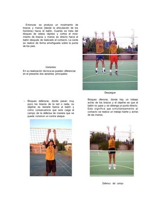 Entonces se produce un movimiento de
brazos y manos (desde la articulación de los
hombros) hacia el balón. Cuando se trata del
bloqueo de voleos rápidos y cortos el movi-
miento de brazos y manos es directo hacia el
balón después de realizado el contacto. La caída
se realiza de forma amortiguada sobre la punta
de los pies.
Variantes
En su realización técnica se pueden diferenciar
en el presente dos variantes principales:
Despegue
– Bloqueo defensivo, donde pasan muy
poco los brazos de la red o nada, su
objetivo es restarle fuerza al balón y
como consecuencia que este caiga al
campo de la defensa de manera que se
pueda construir un contra ataque.
Bloqueo ofensivo, donde hay un trabajo
activo de los brazos y el objetivo es que el
balón no pase y se obtenga un punto directo.
Esto significa que simultáneamente al
contacto se realiza un trabajo fuerte y activo
de las manos.
Defensa del campo
 