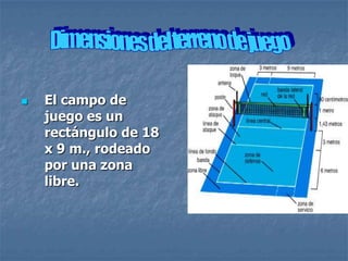    El campo de
    juego es un
    rectángulo de 18
    x 9 m., rodeado
    por una zona
    libre.
 
