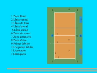1.Zona lliure  2.Línia central  3.Línia de fons 4.Línia lateral 5.Línia d'atac  6.Zona de servei 7.Zona defensiva 8.Zona d'atac 9.Primer àrbitre 10.Segundo àrbitre 11.Anotador 12.Banqueta  