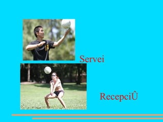 Servei Recepció 