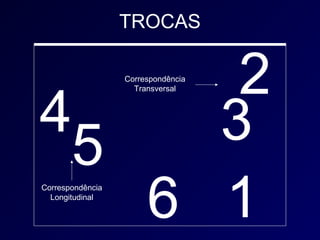 TROCAS


      2           Correspondência




4
                    Transversal




 5   3
   6 1
Correspondência
  Longitudinal
 