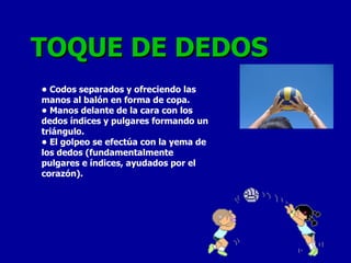 TOQUE DE DEDOS •  Codos separados y ofreciendo las manos al balón en forma de copa. •  Manos delante de la cara con los dedos índices y pulgares formando un triángulo. •  El golpeo se efectúa con la yema de los dedos (fundamentalmente pulgares e índices, ayudados por el corazón). 