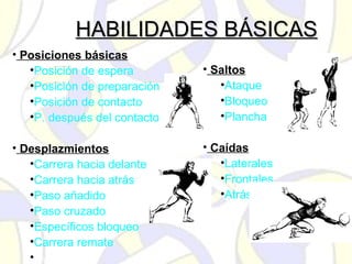 HABILIDADES BÁSICASHABILIDADES BÁSICAS
• Posiciones básicas
•Posición de espera
•Posición de preparación
•Posición de contacto
•P. después del contacto
• Desplazmientos
•Carrera hacia delante
•Carrera hacia atrás
•Paso añadido
•Paso cruzado
•Específicos bloqueo
•Carrera remate
•Fintas batida
• Saltos
•Ataque
•Bloqueo
•Plancha
• Caídas
•Laterales
•Frontales
•Atrás
 