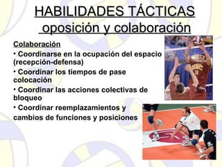 HABILIDADES TÁCTICASHABILIDADES TÁCTICAS
oposición y colaboraciónoposición y colaboración
Colaboración
• Coordinarse en la ocupación del espacio
(recepción-defensa)
• Coordinar los tiempos de pase
colocación
• Coordinar las acciones colectivas de
bloqueo
• Coordinar reemplazamientos y
cambios de funciones y posiciones
 