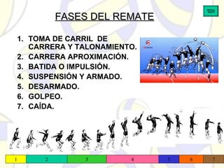 FASES DEL REMATEFASES DEL REMATE
1. TOMA DE CARRIL DE
CARRERA Y TALONAMIENTO.
2. CARRERA APROXIMACIÓN.
3. BATIDA O IMPULSIÓN.
4. SUSPENSIÓN Y ARMADO.
5. DESARMADO.
6. GOLPEO.
7. CAÍDA.
1 2 5 63 4 7
 