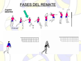 FASES DEL REMATEFASES DEL REMATE
D davant E D E
Jugador
DIESTRO
 