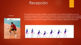 Recepción
En esa postura se espera al balón, cuyo contacto con el mismo comienza con una
extensión progresiva de las piernas, haciéndose contacto con el balón con los brazos
extendidos, en ese momento se realiza un movimiento de los hombros hacia delante
y arriba para de esta forma regular la fuerza del impacto y dirección en la acción.
Postura
 