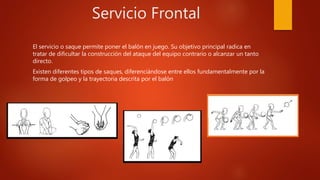 Servicio Frontal
El servicio o saque permite poner el balón en juego. Su objetivo principal radica en
tratar de dificultar la construcción del ataque del equipo contrario o alcanzar un tanto
directo.
Existen diferentes tipos de saques, diferenciándose entre ellos fundamentalmente por la
forma de golpeo y la trayectoria descrita por el balón
 