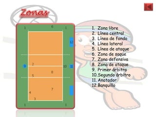 1. Zona libre
2. Línea central
3. Línea de fondo
4. Línea lateral
5. Línea de ataque
6. Zona de saque
7. Zona defensiva
8. Zona de ataque
9. Primer árbitro
10.Segundo árbitro
11. Anotador
12.Banquillo
 