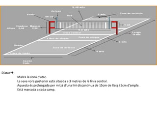 D’atac
          Marca la zona d’atac.
          La seva vora posterior està situada a 3 metres de la línia central.
          Aquesta és prolongada per mitjà d’una líni discontinua de 15cm de llarg i 5cm d’ample.
          Està marcada a cada camp.
 