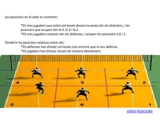 Les posicions en el volei es numeren:

           *Els tres jugadors que estan col·locats devora la xarxa són els delanters, i les
           posicions que ocupen són la 4, la 3 i la 2.
           *Els tres jugadors restants són els defenses, i ocupen les posicions 5,6 i 1.

També hi ha posicions relatives entre ells:
          *Els defenses han d’estar col·locats més enrrere que el seu defensa.
          *Els jugadors han d’estar situats de manera lateralment.




                                                                                        VIDEO POSICIONS
 