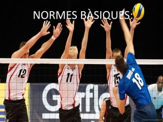 NORMES BÀSIQUES:
 