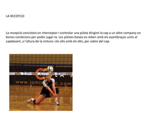 LA RECEPCIO



La recepció consisteix en interceptar i controlar una pilota dirigint-la cap a un altre company en
bones condicions per poder jugar-la. Les pilotes baixes es reben amb els avantbraços units al
capdavant, a l'altura de la cintura i els alts amb els dits, per sobre del cap.
 