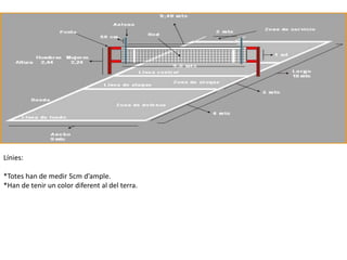 Línies:

*Totes han de medir 5cm d’ample.
*Han de tenir un color diferent al del terra.
 