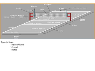 Tipus de línies:
            *De delimitació
            *Central
            *D’atac
 