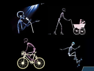 Voleu conèixer el nostre esquelet