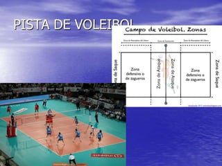 PISTA DE VOLEIBOL

 